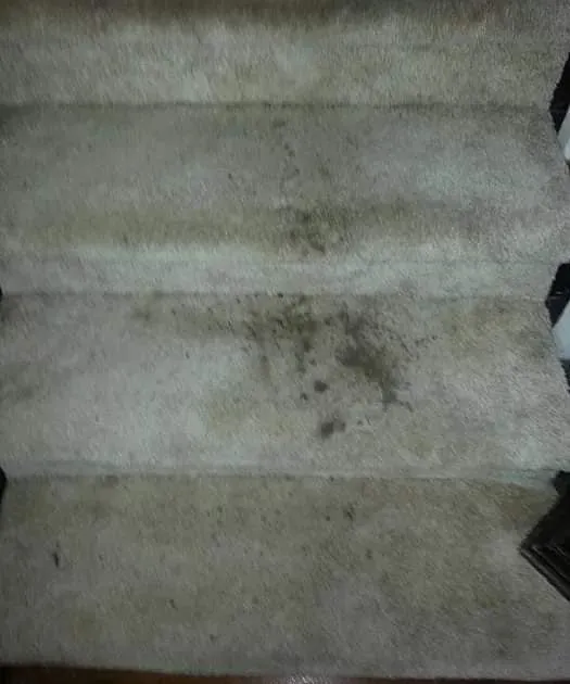 before-picture