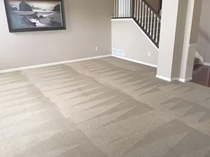 Professional carpet cleaning in Delaware Ohio