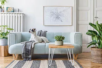 Upholstery cleaning for sofas chairs and furniture in Central Ohio
